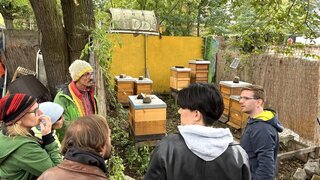 Teilnehmende stehen neben Bienenstöcken