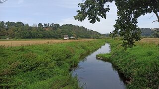 Bach und Felder, im Hintergrund Wald